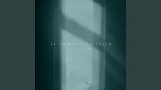 By the Only Light I Know