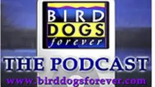 Audio Episode A6 An Interview With Steve Smith of the Pointing Dog Journal