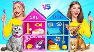 Мы Построили Маленький Домик для Животных | Сумасшедший Челлендж от Multi DO Smile