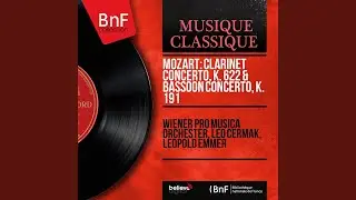 Bassoon Concerto in B-Flat Major, K. 191: II. Andante ma adagio
