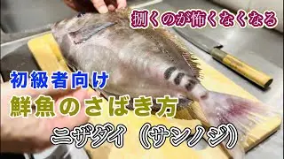 【ニザダイ（サンノジ）】初級者向け鮮魚のさばき方