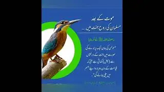 Most beautiful and informative Ahdees ll Islamic talks ll #islamicvideo #shortsyoutube #shortsvideo