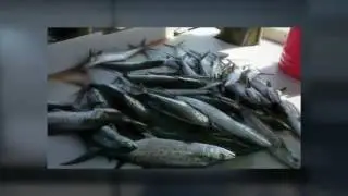 Perdido Key Fishing Charters
