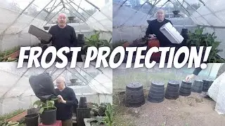 Maximum Frost Protection [Gardening Allotment UK] [Grow Vegetables At Home ]