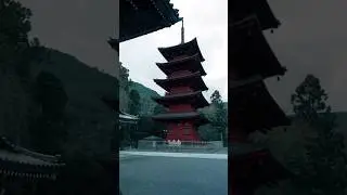 久遠寺【山梨】Kuonji Temple - Yamanashi #japan #travel #explore #shorts #short #shortvideo  #nature #hidden