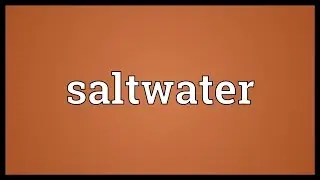 Saltwater Meaning