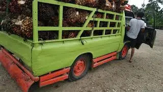 Mobil l300 tua muatan 5 ton lebih MAKSAIN..NAik timbangan..ending nya ya gini.#truckmania