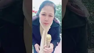 Tình ca Tây Bắc @@@ 2026