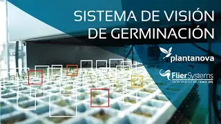 Germination Vision System / Flier Systems @ Plantanova