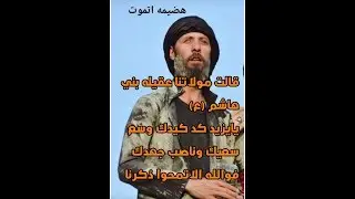 روايات الشهيد ||حمدان الشاكري|| في اربعينية السيدة زينب (عليها السلام)