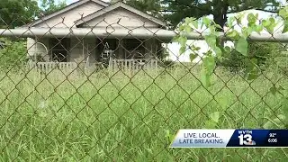 City council approves a $3mill blitz for grass cutting in Birmingham