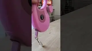 Walk Your Dog In Style With This Retractable Pet Leash  #leashwalking #doglover #PetRoutine #pets