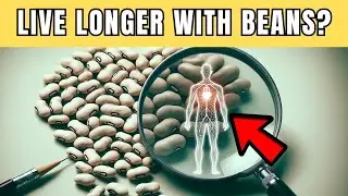 Science Says Yes, How Beans Can Transform Your Health and Longevity