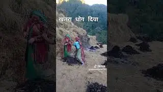 ,#viralvideo #foryou #fyo #nepaliyoutube #viralvideo #trending #support #youngtalent