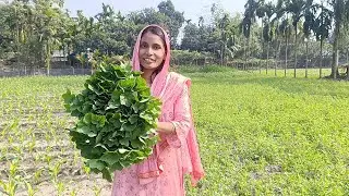 নতুন বছরের প্রথম দিনে আজকের রান্নায় কি কি থাকছে । Happy new year 2026