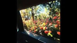 [FREE] UNOTHEACTIVIST TYPE BEAT +++ 