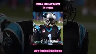 Pink NFL was Peak #nfl #shelterday #pink #sports 