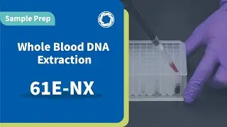 TANBead Nucleic Acid Extraction Kit | Whole Blood DNA Extraction &ndash; 61E-NX | Sample Prep