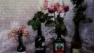 sky ferreira : heavy metal heart (slowed and reverb)