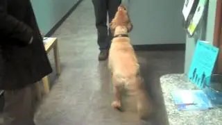 Tyler Carries His File to Dr. O'Connor After His Adjustment!