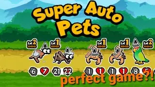 2 Pet Challenge Perfect Game | Super Auto Pets