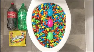 Experiment M&Ms Coca Cola Mentos Fanta Sprite Skittles all get flushed