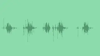 Hatching from an Egg Sound Effects