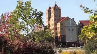 Techny Video