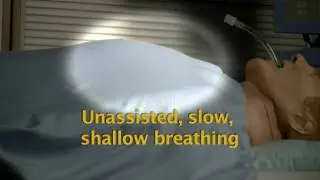 ASL 5000 Breathing Simulator with Manikin