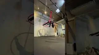 Playing with variations 👍🏼#aerialhoop #aerial #split #aerialhoopdance #aerialsport #aerialinjapan