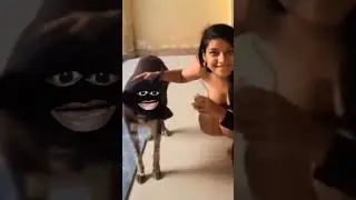 मैं हूं बागड़बिल्ला