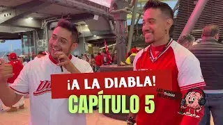 Esto opina la afición de los Diablos Rojos del México