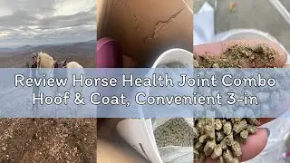 Review Horse Health Joint Combo Hoof & Coat, Convenient 3-in-1 Horse Joint Supplement Provides Compl