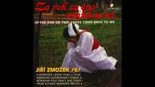 Jiří Zmožek / Za rok za dva vrátíš sa mi
