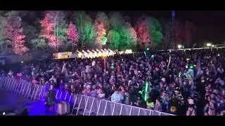 Tripp St 2025 Seven Stars Fest