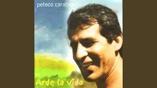 El Violín del Monte