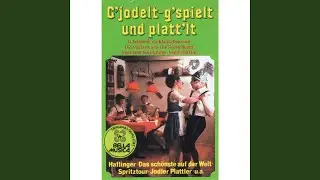 Wurzelsepp