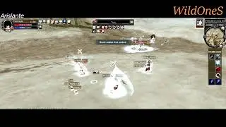 Electus Online PentiniuM PVP [90 lvl Full int Spear]  Silkroad Online