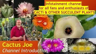 Трейлер канала CACTUS JOE ДОБРО ПОЖАЛОВАТЬ #теплица #кактусы #суккуленты #уходзакактусами #уходзасуккулентами #кактус