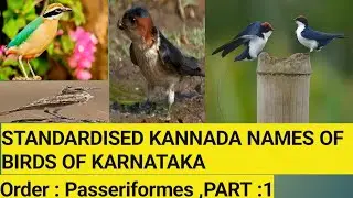 STANDARDISED KANNADA NAMES OF BIRDS OF KARNATAKA || Birds of Karnataka || #bioweb #birdsofkarnataka