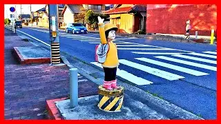 Andando no Japão + Natureza FULL HD / Walking Japan