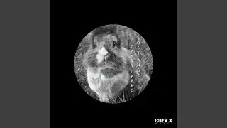 Lost Angel (Original Mix)