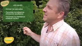 Concilier culture de la pomme de terre & biodiversité - Chez David Deprez, producteur à Auppegard