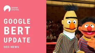 Google BERT Update  - Infos & Analysen (deutsch)