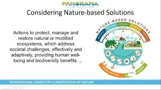 IUCN BioBiz PANORAMA Webinar #3: Engaging business in Nature-based Solutions