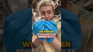 Welcher ist dein Lieblingspilz? 🍄&zwj;🟫 #schweizer #pilz #produktion #einblick #schweiz