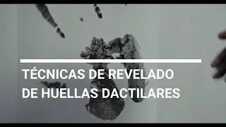 TÉCNICAS DE REVELADO DE HUELLAS DACTILARES