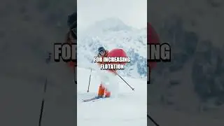 Surviving an Avalanche: Lessons from the Italian Alps