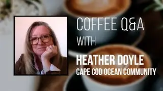 Coffee Q&A with Heather Doyle - Coexisting with Sharks