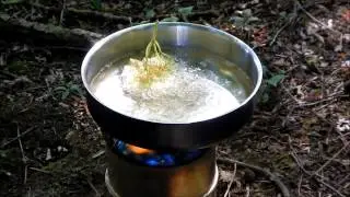 Cooking with Wild Greens #3 - Elder & Comfrey fritters